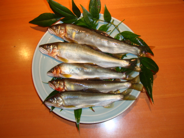 20100728-2.jpg
